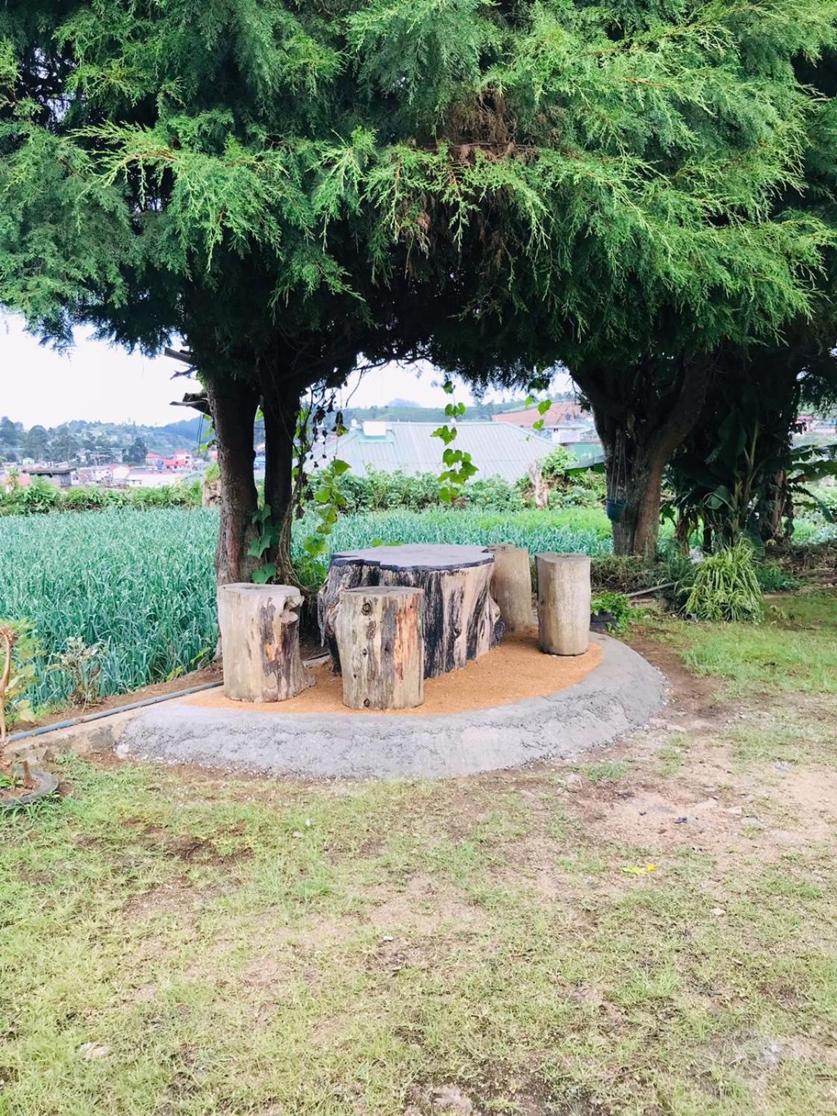 努沃勒埃利耶 西尔弗迈尔旅馆酒店 外观 照片